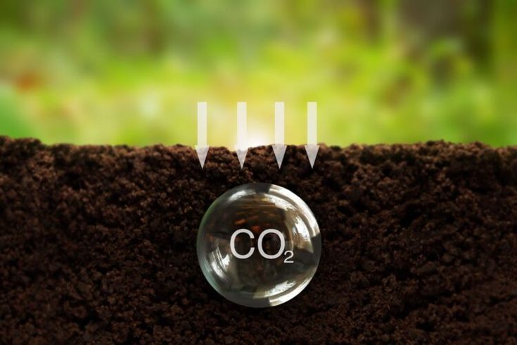 L\'Internet des Objets (IoT) au service des exploitations agricoles algériennes